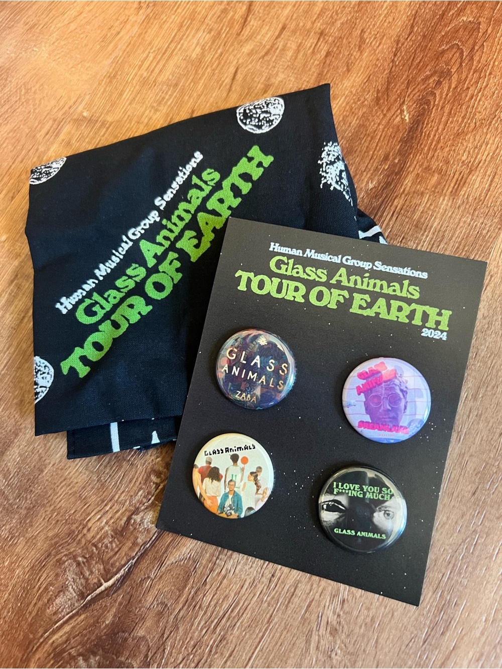 Glass Animals Tour of Earth Bandana and Pins Set - Picture 1 of 3